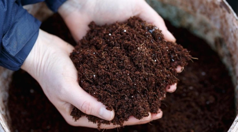 organic fertilizer