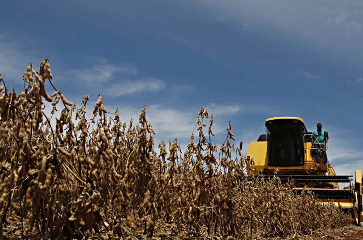 Nearly half of the soybeans in Kansas are in poor/very poor shape